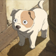 Behold the wee dog: true star of the show.